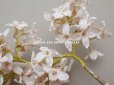 画像4: アンティーク ライラックの布花 パウダーピンク