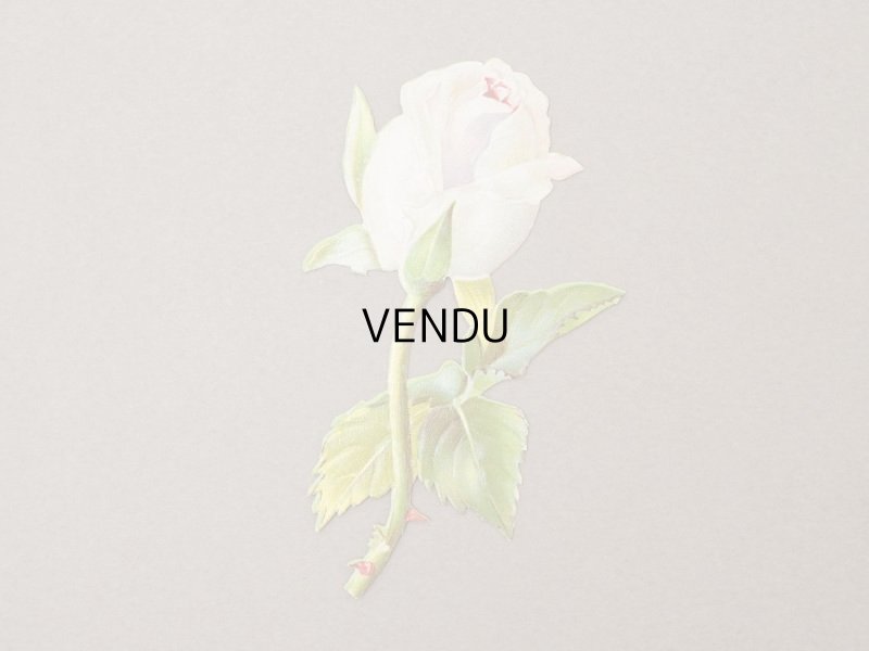 画像4: 1900年頃 アンティーク ダイカットクロモ 7点のセット