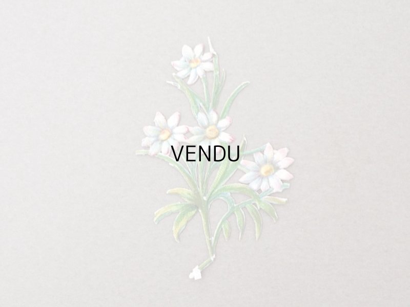 画像7: 1900年頃 アンティーク ダイカットクロモ 7点のセット