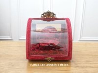 19世紀末 アンティーク グローブ・ド・マリエのガラスケース プレザントワール 赤紫 シルクベルベットのフレーム