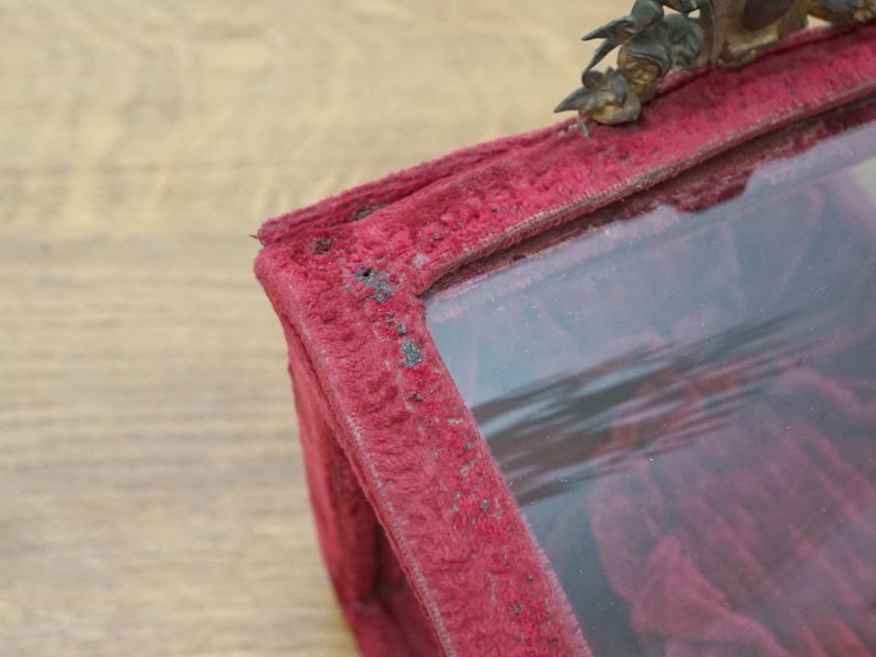 画像13: 19世紀末 アンティーク グローブ・ド・マリエのガラスケース プレザントワール 赤紫 シルクベルベットのフレーム