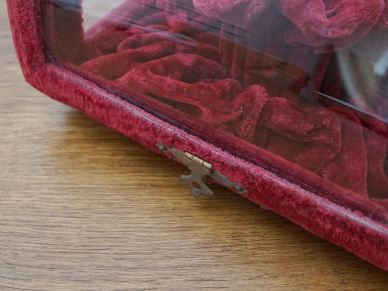 画像15: 19世紀末 アンティーク グローブ・ド・マリエのガラスケース プレザントワール 赤紫 シルクベルベットのフレーム