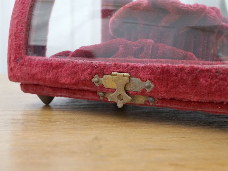 画像7: 19世紀末 アンティーク グローブ・ド・マリエのガラスケース プレザントワール 赤紫 シルクベルベットのフレーム