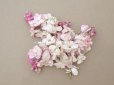 画像2: アンティーク ライラックの布花 ホワイト＆ピンク (2)