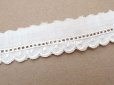 画像4: アンティーク スカラップレース ドット刺繍入り 
