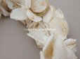 画像9: アンティーク シルクサテン 薔薇の布花のティアラ 花冠  エクリュ＆オフホワイト