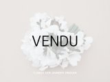 アンティーク 白菫の布花 33輪