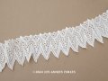 ＊蚤の市セット＊アンティーク カットワークレース 4m 刺繍入り コットンオーガンジー 幅7.5cm