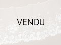 19世紀末 アンティーク 幅広34cm アプリカシオン・アングルテール 3.05m 草花のブーケ＆ガーランド オフホワイト ボビンレース