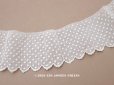 画像1: 19世紀 アンティーク ドットの手刺繍 スカラップレース 37cm (1)