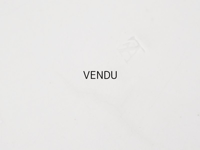 画像10: 1820~1855年 アンティーク オクトゴナル プレート Fouque & Arnoux フーク&アルノー窯 