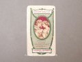 アンティーク パフュームカード GENTIL SECRET - VIBERT FRERES PARIS -