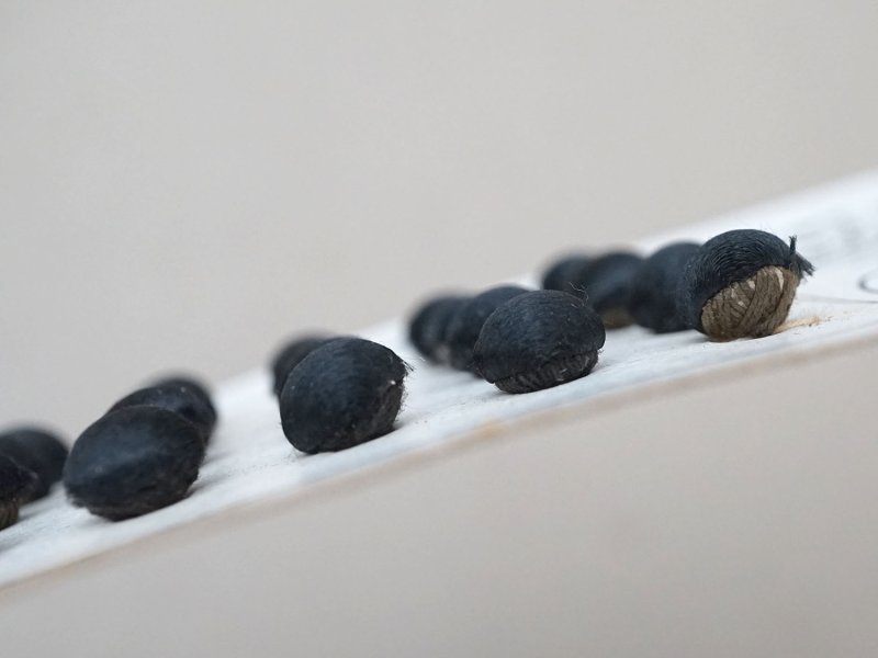 画像25: アンティーク シルクサテンのくるみボタン 8mm 黒 24ピース NOUVEAUTE - UNIS FRANCE -