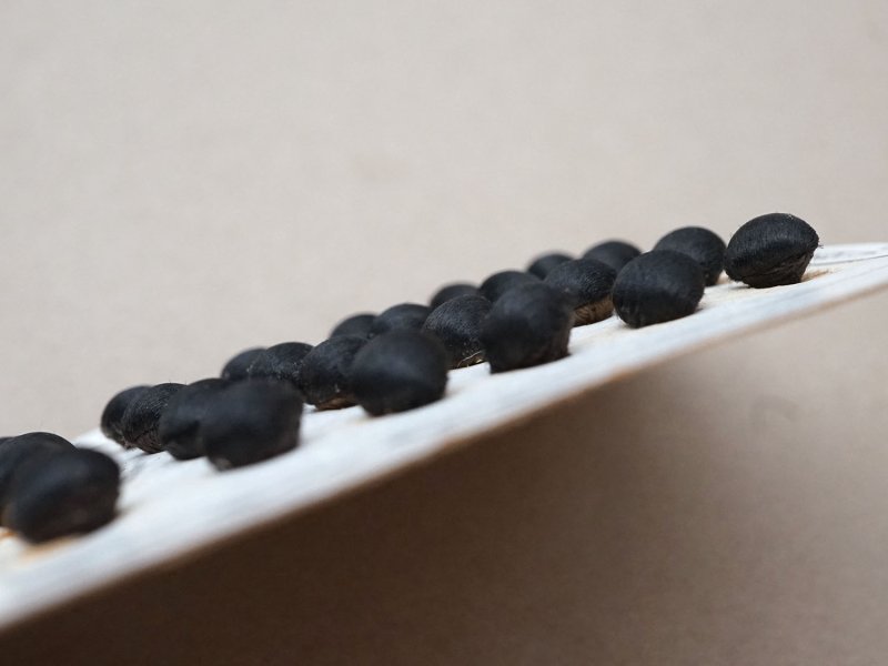 画像6: アンティーク シルクサテンのくるみボタン 8mm 黒 24ピース NOUVEAUTE - UNIS FRANCE -