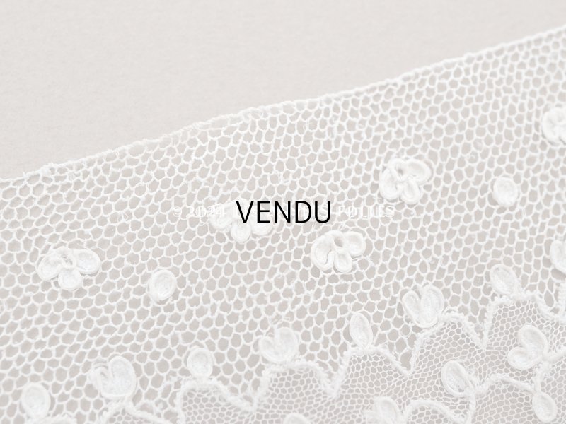 画像3: 19世紀 アンティーク ニードルレース アランソンレース 1.07m 4.4cm幅『ポワン・ダランソン（アランソン）』 