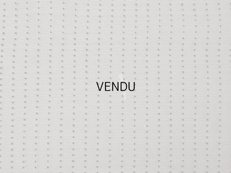 画像12: アンティーク ドット入り 幅広 チュールレース 黒 0.9m 幅29.5cm