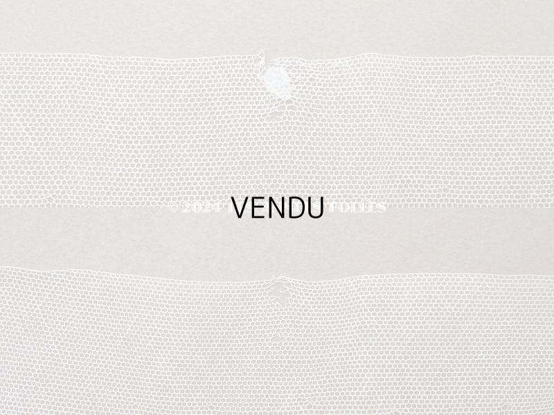 画像5: アンティーク スカラップ チュールレース ライン入り オフホワイト 7cm幅 