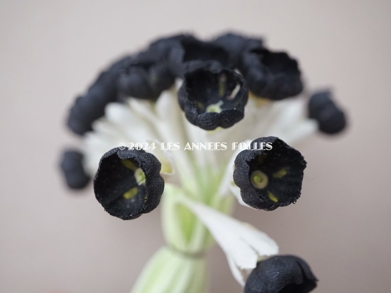 画像4: *蚤の市*アンティーク 布花 黒