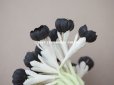 画像3: ＊蚤の市＊アンティーク 布花 黒