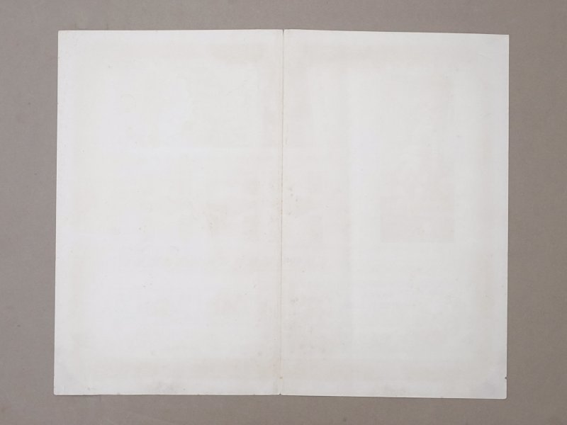 画像8: 19世紀末 アンティーク パフュームリーのパッケージデザイン画 - VICTOR VAISSIER PARIS -