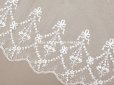 画像2: アンティーク 花の刺繍入り 幅広レース 32.5×幅28〜30cm (2)