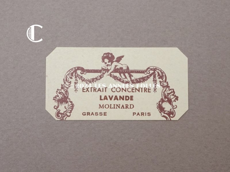 画像6: アンティーク 天使のパフュームラベル - MOLINARD -