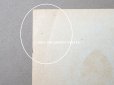 画像4: アンティーク ソープラベル SAVON FRIMOUSSE D'OR - LORENZY-PALANCA - (4)