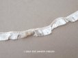 画像1: 1900年頃 アンティーク フリンジのトリム オフホワイト&エクリュ 89cm 1.7cm幅  (1)