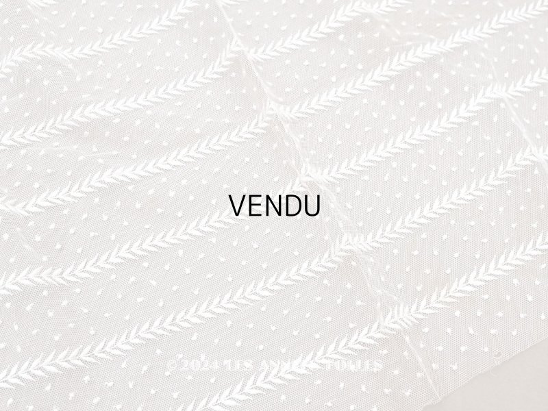 画像1: 【クリスマスセール2024対象外】アンティーク ドット刺繍入り チュールレース  生成り 43×100cm