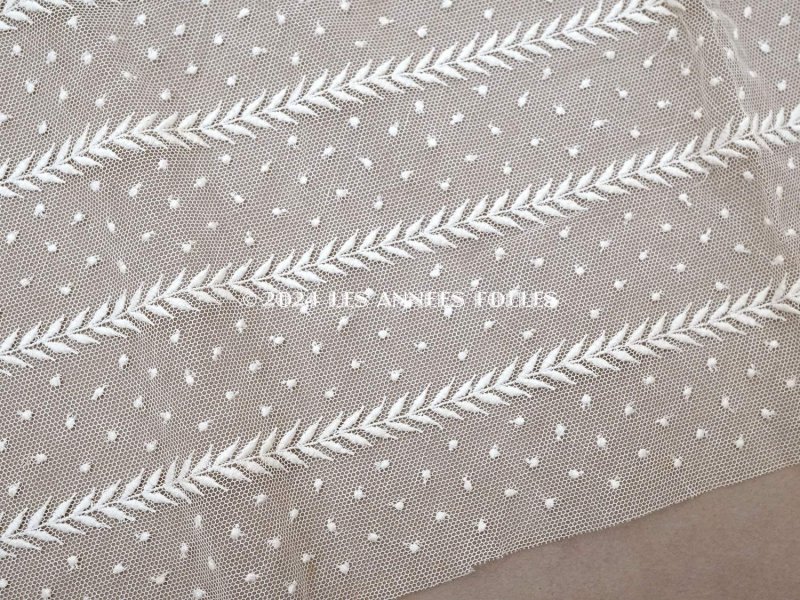 画像3: 【クリスマスセール2024対象外】アンティーク ドット刺繍入り チュールレース  生成り 43×100cm