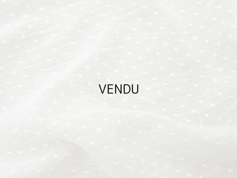 画像3: アンティーク  とても小さなドット刺繍入り コットン生地  92×142cm