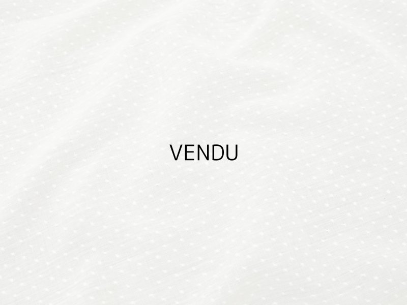 画像5: アンティーク  とても小さなドット刺繍入り コットン生地  92×142cm