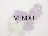 アンティーク ライラックの大きな布花 紫 ラベル付きシルク＆ベルベット