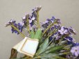 画像7: アンティーク 大きなブーケ ラヴェンダー色 小さな勿忘草の布花 200輪 ラベル付き 