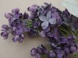 画像8: アンティーク ライラックの大きな布花 紫 ラベル付きシルク＆ベルベット