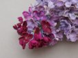 画像7: アンティーク ライラックの大きな布花 ベルベット 薄紫 ラベル付き