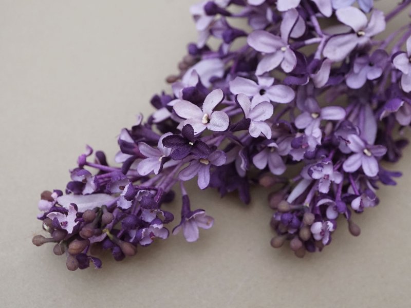 画像6: アンティーク ライラックの大きな布花 薄紫＆深紫 ラベル付き