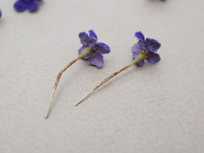 画像4: アンティーク 勿忘草の小さな布花 青紫色 10ピースのセット 約13mm