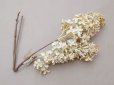 画像7: アンティーク ライラックの大きな布花 エクリュ ラベル付き
