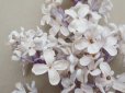 画像6: アンティーク ライラックの大きな布花 ホワイトパープル ラベル付き