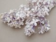 画像8: アンティーク ライラックの大きな布花 ホワイトパープル ラベル付き