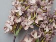 画像6: アンティーク ライラックの大きな布花 スモーキーピンク ラベル付き