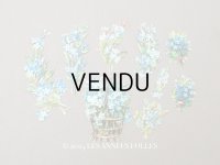 ＊蚤の市＊1900年頃 アンティーク 勿忘草 ダイカットクロモ 9点のセット