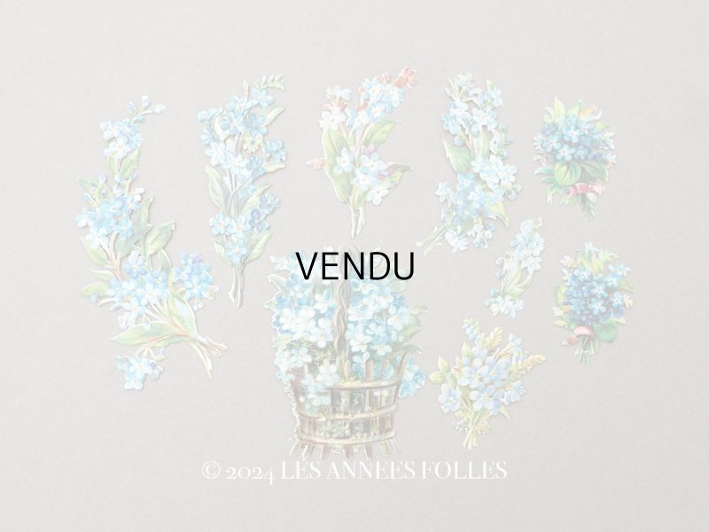 画像1: ＊蚤の市＊1900年頃 アンティーク 勿忘草 ダイカットクロモ 9点のセット