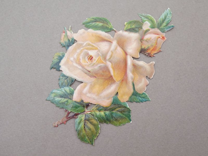 画像5: 1900年頃 アンティーク 薔薇 ダイカットクロモ 15点のセット