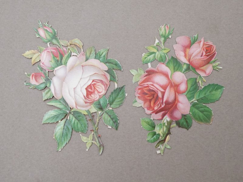 画像4: 1900年頃 アンティーク 薔薇 ダイカットクロモ 15点のセット