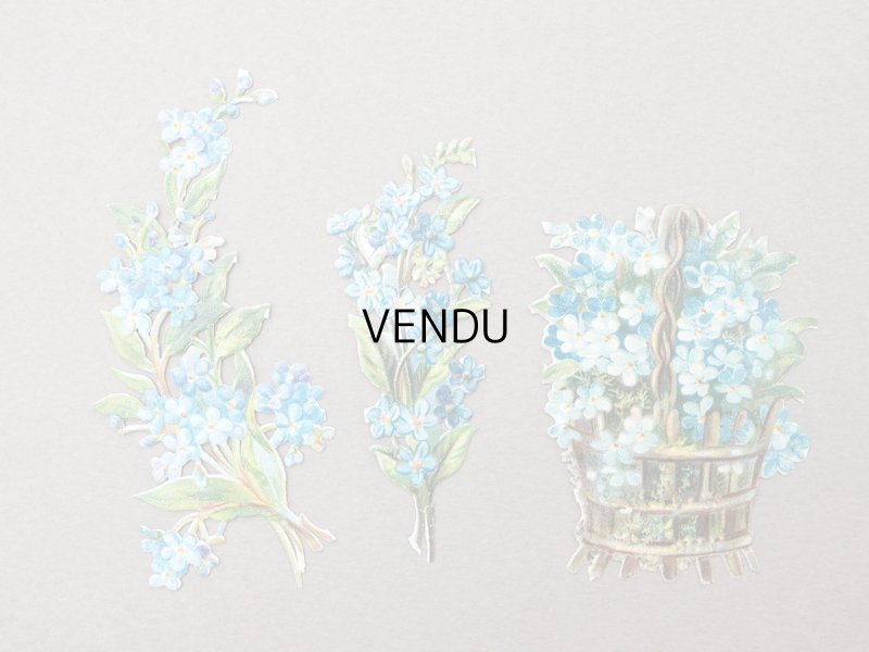 画像2: ＊蚤の市＊1900年頃 アンティーク 勿忘草 ダイカットクロモ 9点のセット