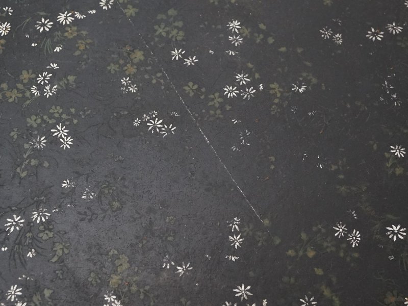 画像7: 19世紀 アンティーク パピエマシェの大きなトレイ 花模様 51×39.5cm