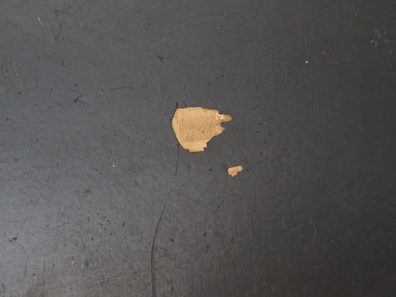 画像5: 19世紀 アンティーク パピエマシェの大きなトレイ 花模様 51×39.5cm