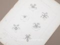 アンティーク 版画 花のオーナメントFLORE ORNEMENTALE